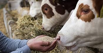 bg_img_home_homenew_block2-5_lj